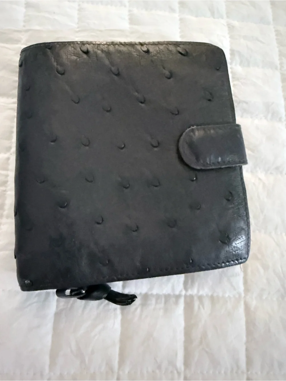 Women’s Bottega Veneta Black Ostrich-Leather Wallet!
